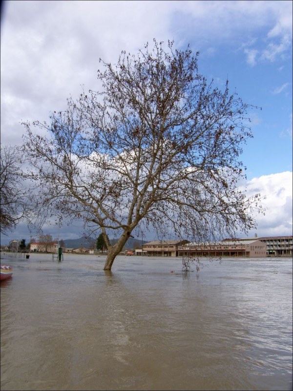 Poplava u Metkovicu (39)